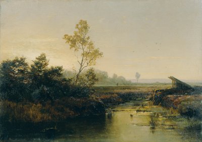 Moorlandschaft de Emilie Mediz-Pelikan