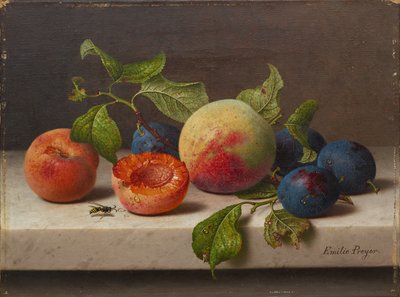 fruta ainda vida de Emilie Preyer