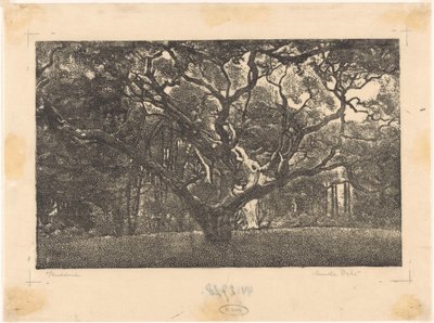 Bos em Bergen de Emilius Wilhelmus Dehé (signed by artist)