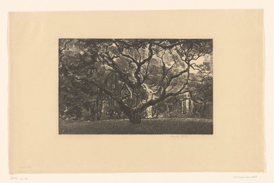 Árvore velha de Emilius Wilhelmus Dehé (signed by artist)