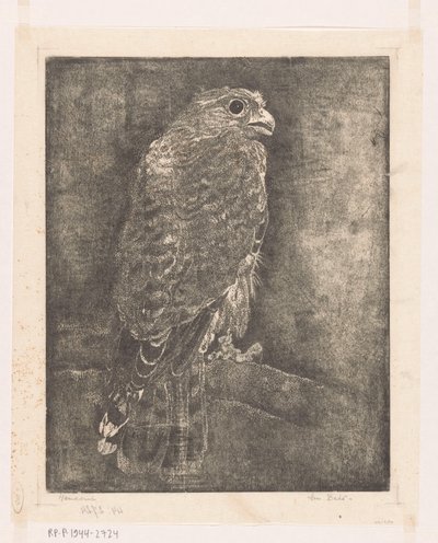 Falcão num ramo de Emilius Wilhelmus Dehé (signed by artist)