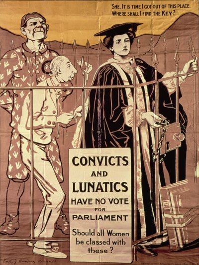 "Condenados e Lunáticos não têm voto no Parlamento". Todas as mulheres devem ser classificadas com estes?