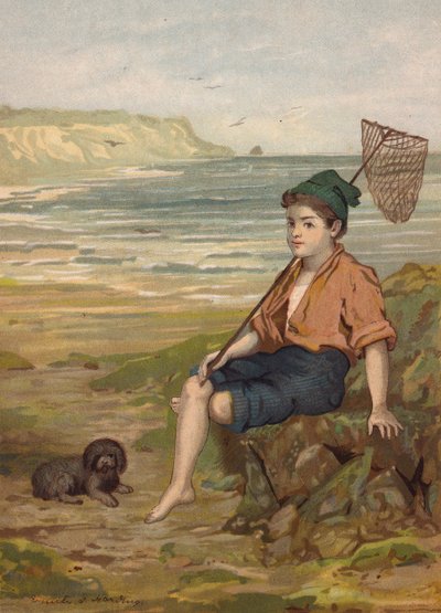 Rapaz com uma rede de pesca à beira-mar (cromolitografia) de Emily Jane Harding Andrews