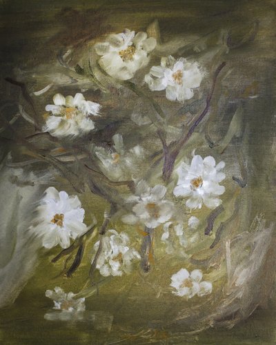 Flores brancas e delicadas de Emily Tingey