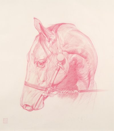 Portrait Head, 2010 (giz vermelho sobre papel) de Emma Kennaway