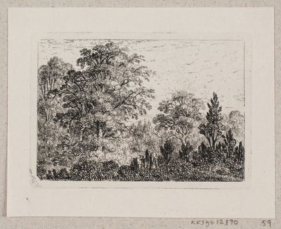 Paisagem da floresta de Emma Meyer