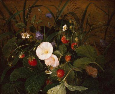 Morangos silvestres, Bluebells e um Hedge Bindweed num Banco (óleo sobre painel) de Emma Thomsen
