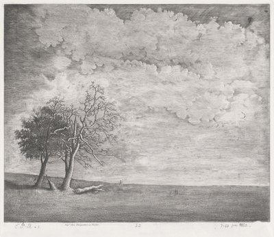 Uma charneca de Emmanuel Phélippes Beaulieu