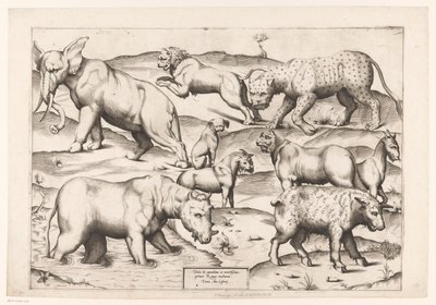 Nove animais Animais a pinturas murais antigas (título da série) Speculum Romanae Magnificentiae (título da série) de Enea Vico (attributed to)