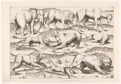 Nove animais selvagens Animais a pinturas murais antigas (título da série) Speculum Romanae Magnificentiae (título da série) de Enea Vico (attributed to)