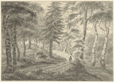 vista da floresta de Engelbert Michaël Engelberts