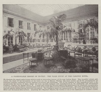 Um elegante resort de hoje, o Palm Court no Carlton Hotel de English Photographer