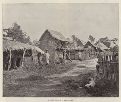 Uma vila florestal em Madagascar de English Photographer