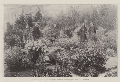 Um paraíso da paz, o jardim do convento em Bloemfontein, usado como um hospital de English Photographer