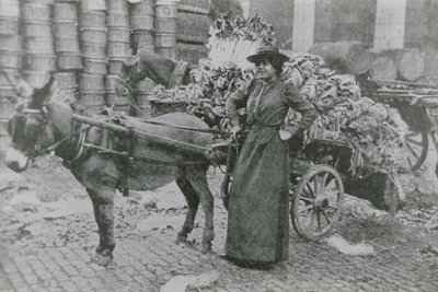 Um vendedor de flores de mulher de English Photographer