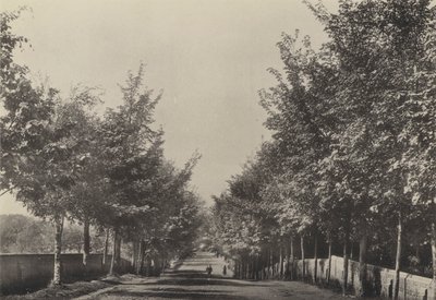 Aldeburgh, Westfields Avenue (foto a p/b) de English Photographer