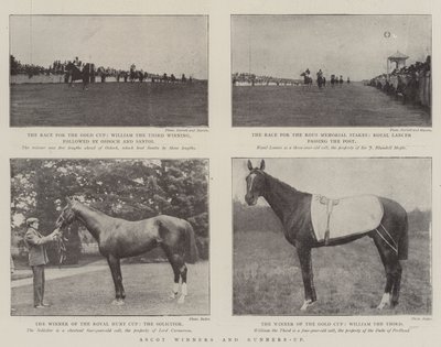 Vencedores e Vice-campeões da Ascot de English Photographer
