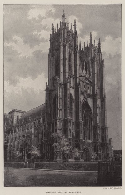 Beverley Minster, Yorkshire de English Photographer