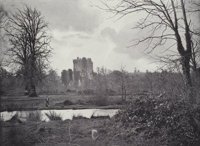 Castelo de Blarney de English Photographer