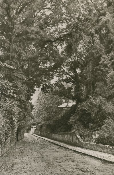 Bonchurch Road, Ilha de Wight de English Photographer