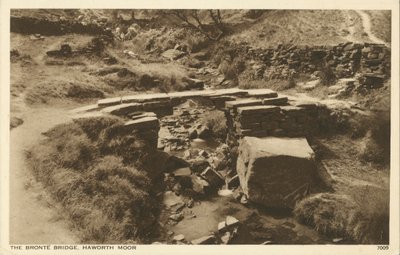 Ponte Bronte, Haworth Moor, Yorkshire (foto a p/b) de English Photographer