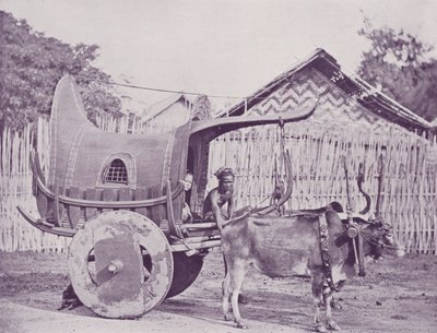Birmanês transporte e par de English Photographer