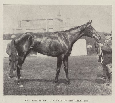 Cap e Bells II, vencedor dos carvalhos, 1901 de English Photographer