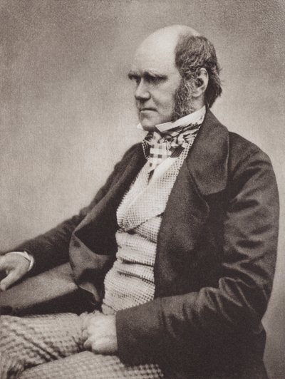 Charles Darwin, retrato, c 1854, a partir de uma fotografia de Maull  Fox (fotografia a preto e branco) de English Photographer