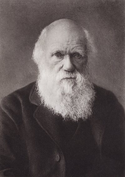 Charles Darwin, retrato, c 1880 (foto a p/b) de English Photographer