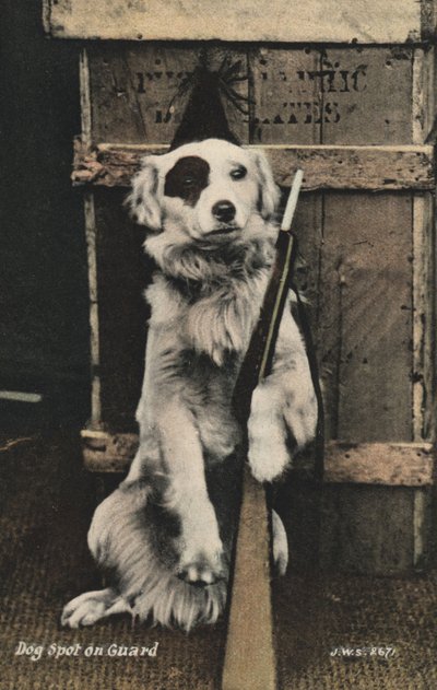 Cão com uma arma (foto colorida) de English Photographer