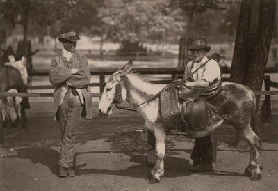 Passeios de burro em Clapham comum de English Photographer