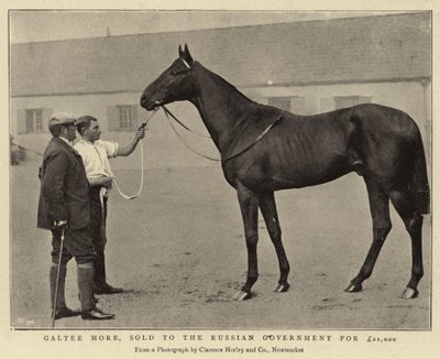 Galtee More, vendido ao governo russo por £ 21.000 de English Photographer