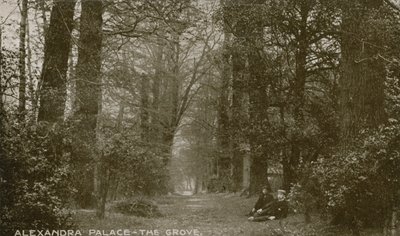 Vista geral do bosque no Alexandra Palace de English Photographer
