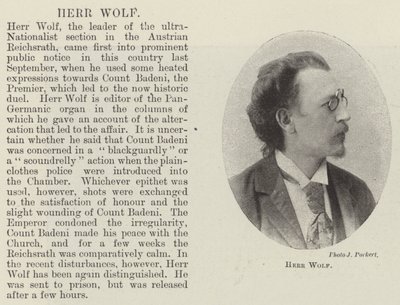 Mr. Wolf de English Photographer