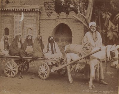 Carrinho puxado por cavalos, Cairo, 1893 de English Photographer