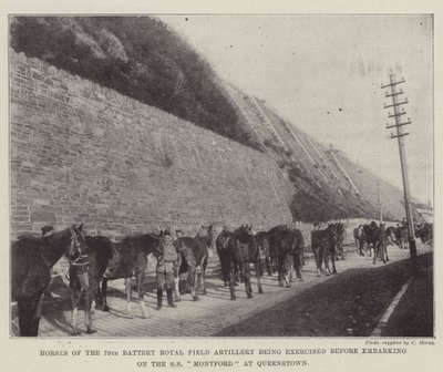 Cavalos da 79ª Bateria Real de Artilharia de Campo sendo exercida antes de embarcar no SS Montford em Queenstown de English Photographer