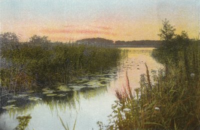 Hoveton Broad de English Photographer