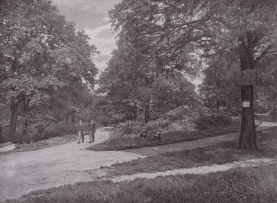 Em Queens Wood, Highgate de English Photographer