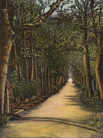 Jersey: Vinchelez Lane (foto a cores) de English Photographer