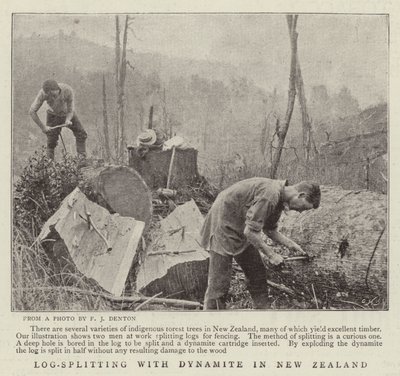 Log-Splitting com dinamite na Nova Zelândia de English Photographer