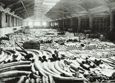 Docas de Londres: armazém de marfim, 1895 de English Photographer