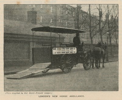 Ambulância de cavalo nova de Londres de English Photographer