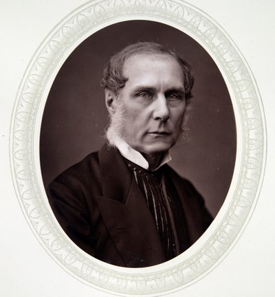 Senhor Selborne, Roundell Palmer de English Photographer