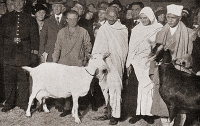Mahatma Gandhi chega a Londres, Inglaterra, em 1931, com sua discípula Madeleine Slade e seus dois bodes, de The Story of Twenty Five Years, publicado em 1935. de English Photographer