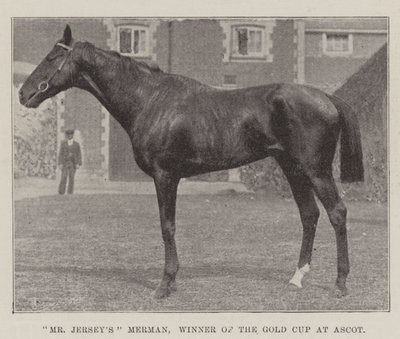 Sr. Jerseys Merman, Vencedor da Taça de Ouro em Ascot de English Photographer