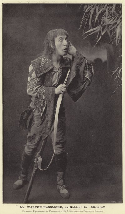 Sr. Walter Passmore, como Bobinet, em Mirette de English Photographer
