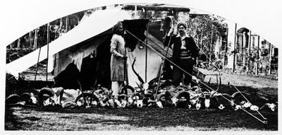 Meus troféus de caça indianos, c.1870s de English Photographer
