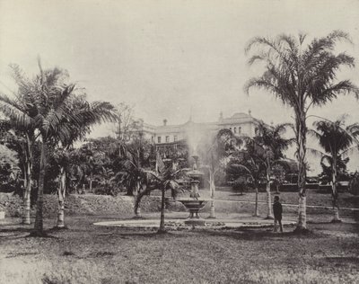 Palmas e Fonte, Jardim Botânico, Brisbane de English Photographer