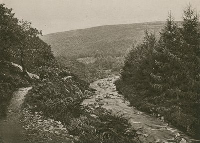 Caminho pela Bagworthy Water, Doone Valley de English Photographer