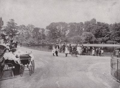 Peckham Park de English Photographer